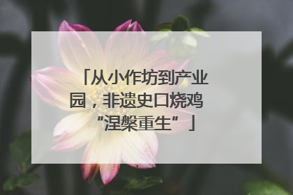 从小作坊到产业园，非遗史口烧鸡“涅槃重生”