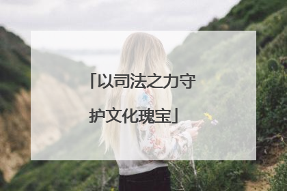 以司法之力守护文化瑰宝
