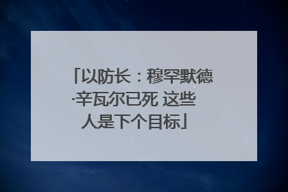 以防长：穆罕默德·辛瓦尔已死 这些人是下个目标