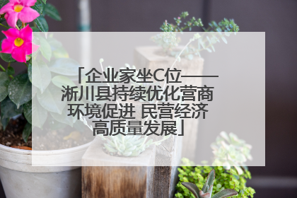 企业家坐C位——淅川县持续优化营商环境促进 民营经济高质量发展