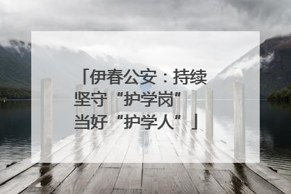 伊春公安：持续坚守“护学岗” 当好“护学人”