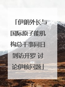 伊朗外长与国际原子能机构总干事同日到访开罗 讨论伊核问题