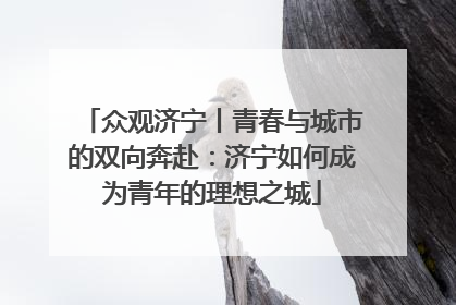 众观济宁丨青春与城市的双向奔赴：济宁如何成为青年的理想之城