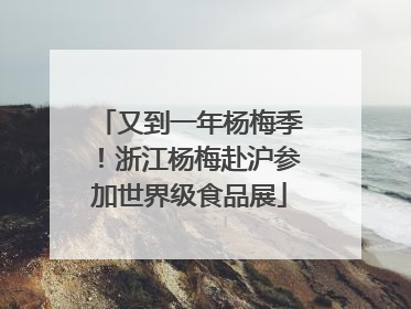 又到一年杨梅季！浙江杨梅赴沪参加世界级食品展
