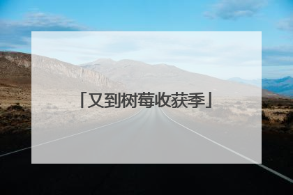 又到树莓收获季