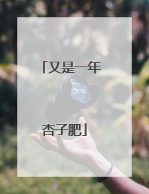 又是一年杏子肥