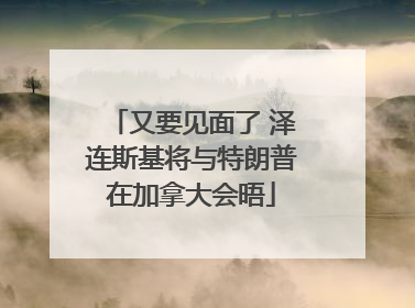 又要见面了 泽连斯基将与特朗普在加拿大会晤