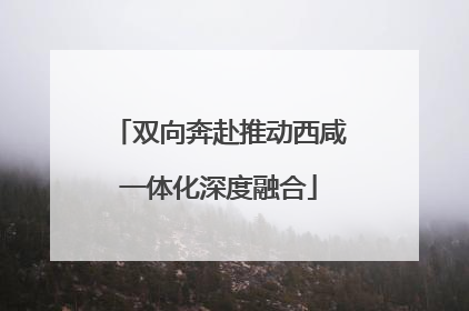 双向奔赴推动西咸一体化深度融合