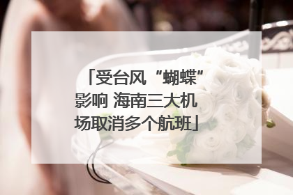 受台风“蝴蝶”影响 海南三大机场取消多个航班