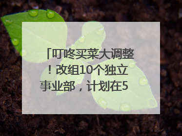 叮咚买菜大调整！改组10个独立事业部，计划在5月完成App端全面改版