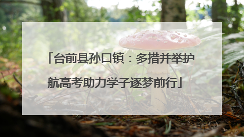 台前县孙口镇：多措并举护航高考助力学子逐梦前行