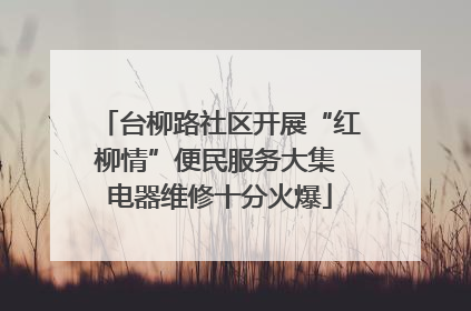 台柳路社区开展“红柳情”便民服务大集 电器维修十分火爆