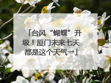 台风“蝴蝶”升级！厦门未来七天都是这个天气→