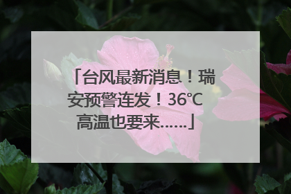 台风最新消息！瑞安预警连发！36℃高温也要来……