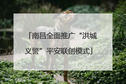 南昌全面推广“洪城义警”平安联创模式