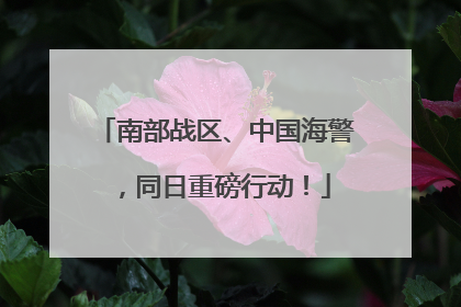 南部战区、中国海警，同日重磅行动！