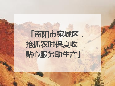 南阳市宛城区：抢抓农时保夏收 贴心服务助生产