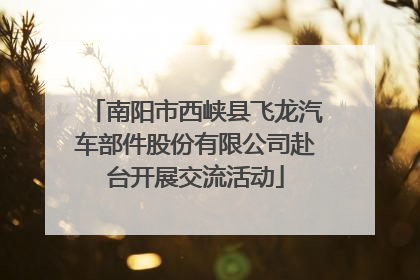 南阳市西峡县飞龙汽车部件股份有限公司赴台开展交流活动