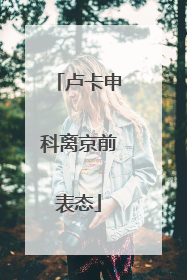 卢卡申科离京前表态