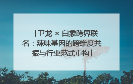 卫龙 × 白象跨界联名：辣味基因的跨维度共振与行业范式重构
