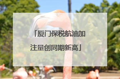 厦门保税航油加注量创同期新高