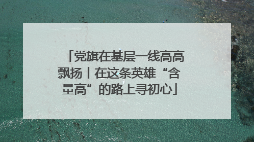 党旗在基层一线高高飘扬丨在这条英雄“含量高”的路上寻初心