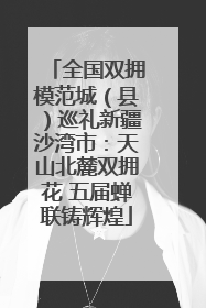 全国双拥模范城（县）巡礼新疆沙湾市：天山北麓双拥花 五届蝉联铸辉煌