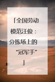 全国劳动模范汪俊：分拣场上的“冠军手”