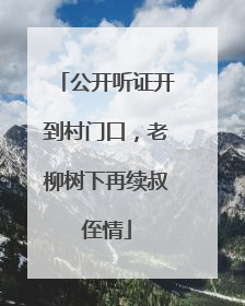 公开听证开到村门口，老柳树下再续叔侄情