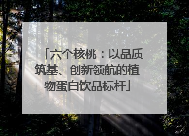 六个核桃：以品质筑基、创新领航的植物蛋白饮品标杆
