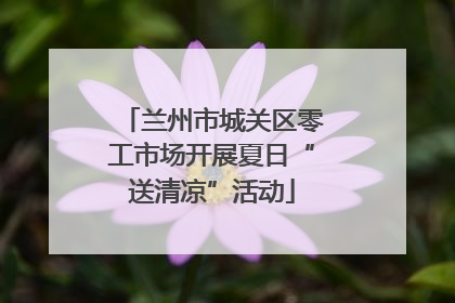 兰州市城关区零工市场开展夏日“送清凉”活动