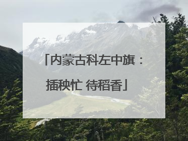 内蒙古科左中旗：插秧忙 待稻香
