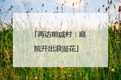 再访前戚村：庭院开出浪漫花