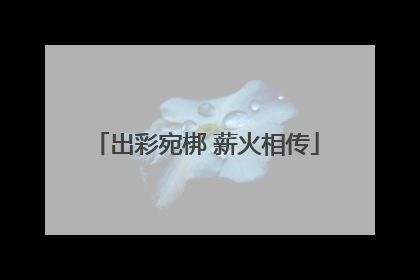 出彩宛梆 薪火相传