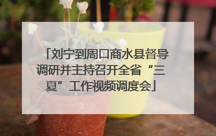 刘宁到周口商水县督导调研并主持召开全省“三夏”工作视频调度会
