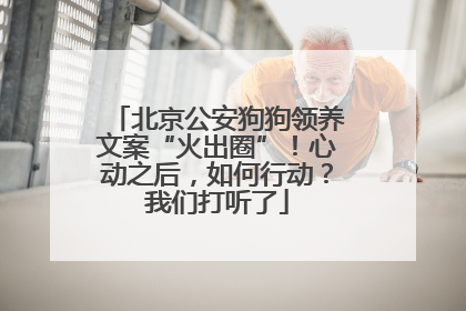 北京公安狗狗领养文案“火出圈”！心动之后，如何行动？我们打听了