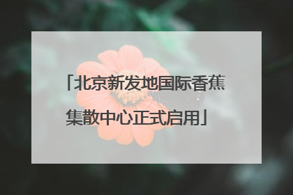 北京新发地国际香蕉集散中心正式启用
