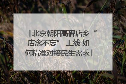 北京朝阳高碑店乡“店念不忘” 上线 如何精准对接民生需求