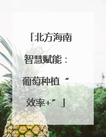 北方海南智慧赋能：葡萄种植“效率+”