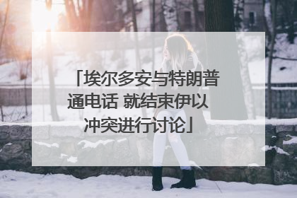 埃尔多安与特朗普通电话 就结束伊以冲突进行讨论