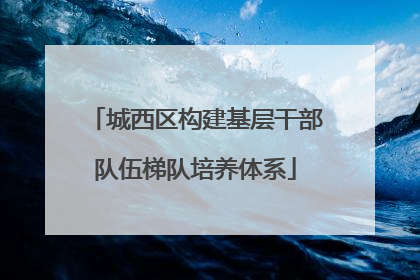 城西区构建基层干部队伍梯队培养体系