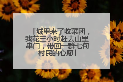 城里来了收菜团，我花三小时赶去山里串门，带回一群七旬村民的心愿