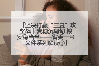 坚决打赢“三夏”攻坚战丨麦穗沉甸甸 粮安稳当当——省委一号文件系列解读①