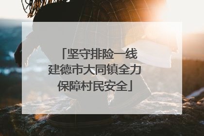 坚守排险一线 建德市大同镇全力保障村民安全