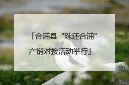 合浦县“珠还合浦”产销对接活动举行