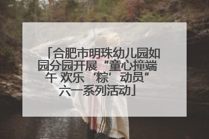合肥市明珠幼儿园如园分园开展“童心撞端午 欢乐‘粽’动员”六一系列活动