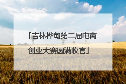 吉林桦甸第二届电商创业大赛圆满收官