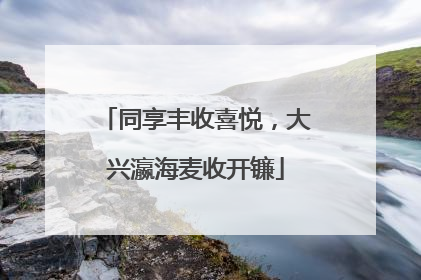 同享丰收喜悦，大兴瀛海麦收开镰