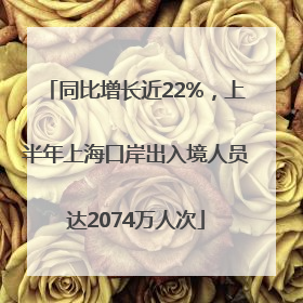 同比增长近22%，上半年上海口岸出入境人员达2074万人次