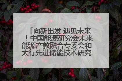 向新出发 遇见未来！中国能源研究会未来能源产教融合专委会和太行先进储能技术研究院在保定成立